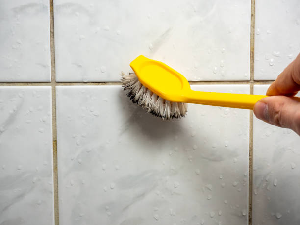 Best Professional Mold Removal  in Forestville, OH