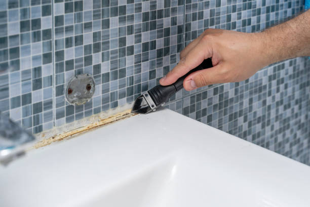 Best Black Mold Removal  in Forestville, OH