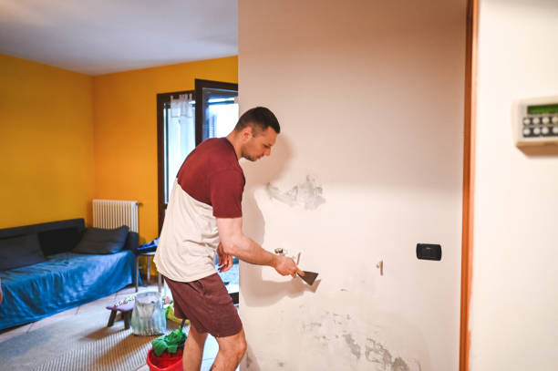 Best Local Mold Removal Service  in Forestville, OH
